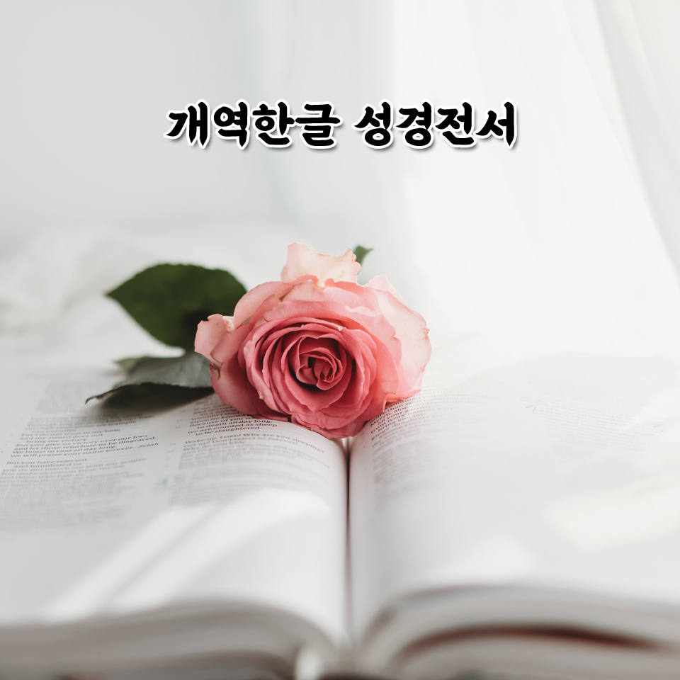개역한글 성경 사진 1